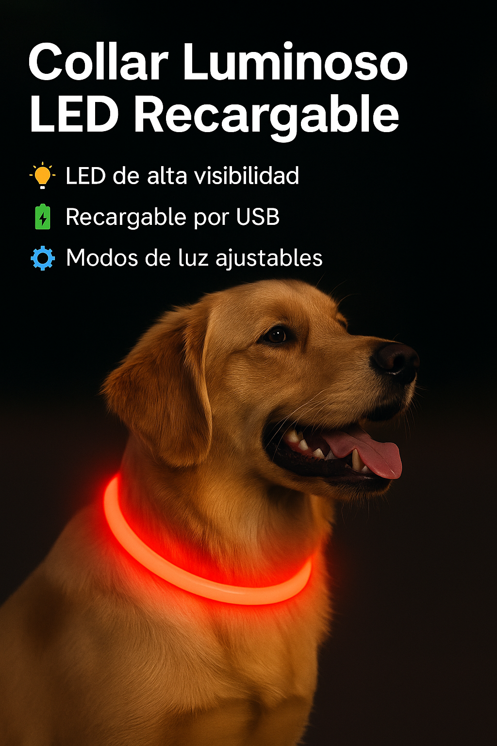 Collar Luminoso LED Recargable